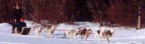 Passenger run on Fox Lake (photo)