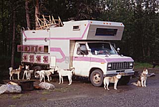 Seppalas en route to the Yukon in Carolyn Ritter's dog truck, 1993