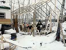 Framing a wall tent in the Yukon at Seppala Kennels