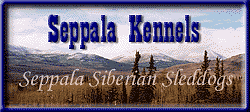 Seppala Kennels banner